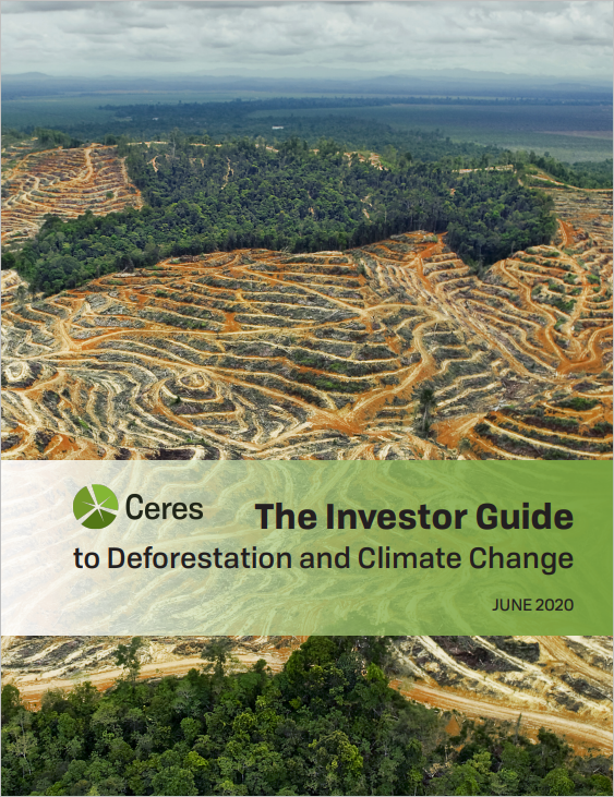 Investor Guide to Deforestation and Climate Change cover