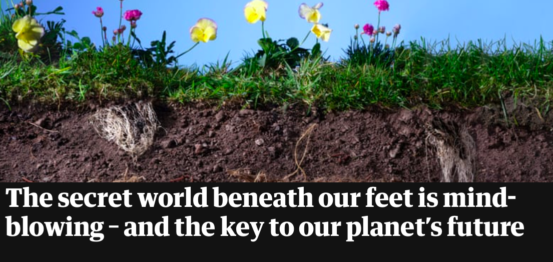The secret world beneath our feet is mind-blowing – and the key to our planet’s future cover
