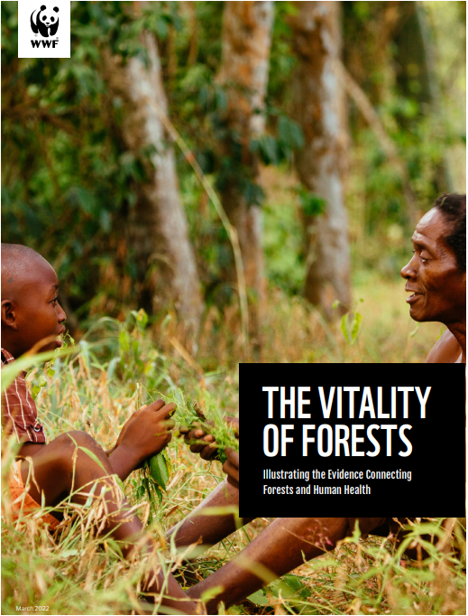 The Vitality of Forests: Illustrating the Evidence Connecting Forests and Human Health cover