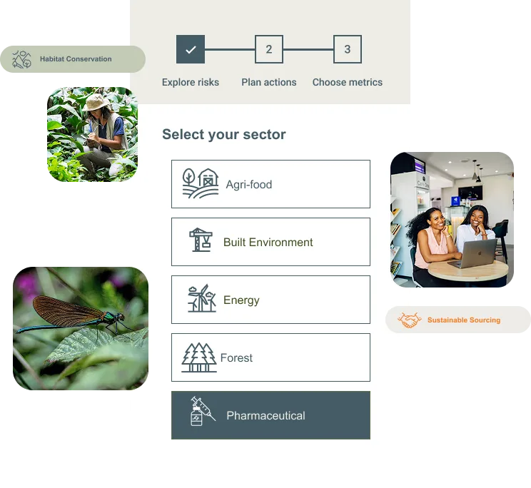 Nature Action Portal cover