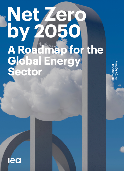 The World Roadmap to Net Zero by 2050 cover
