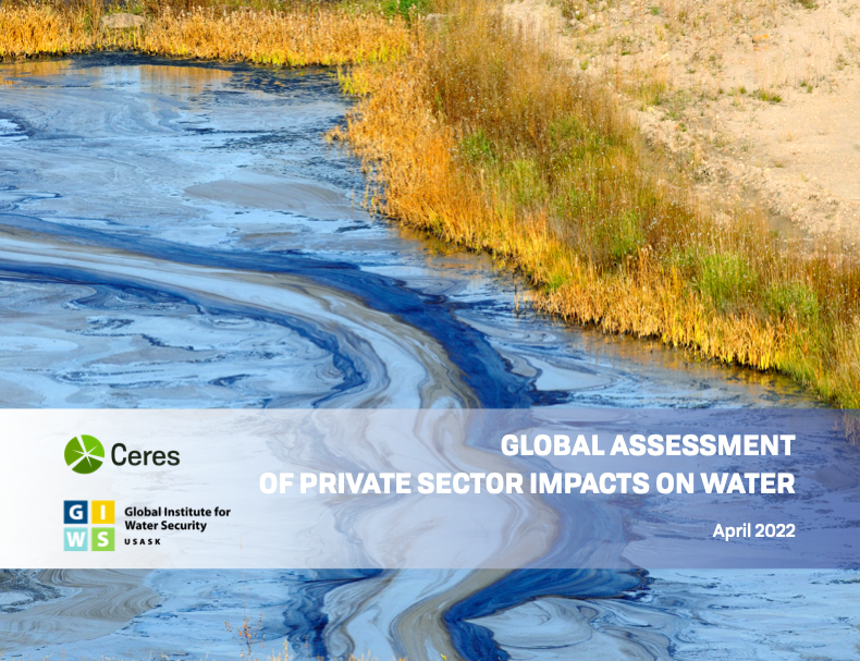 The Global Assessment of Private Sector Impacts on Water cover