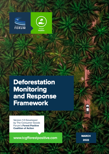 Deforestation Monitoring and Response Framework cover