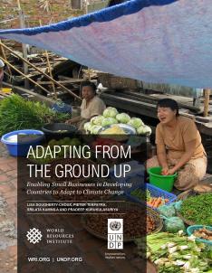 Adapting from the Ground Up: Enabling Small Businesses in Developing Countries to Adapt to Climate Change cover