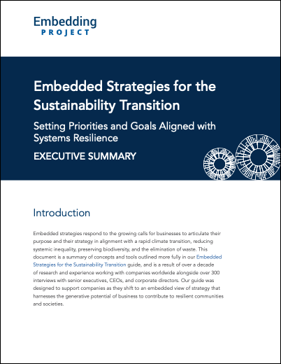Embedded Strategies for the Sustainability Transition: Executive Summary cover