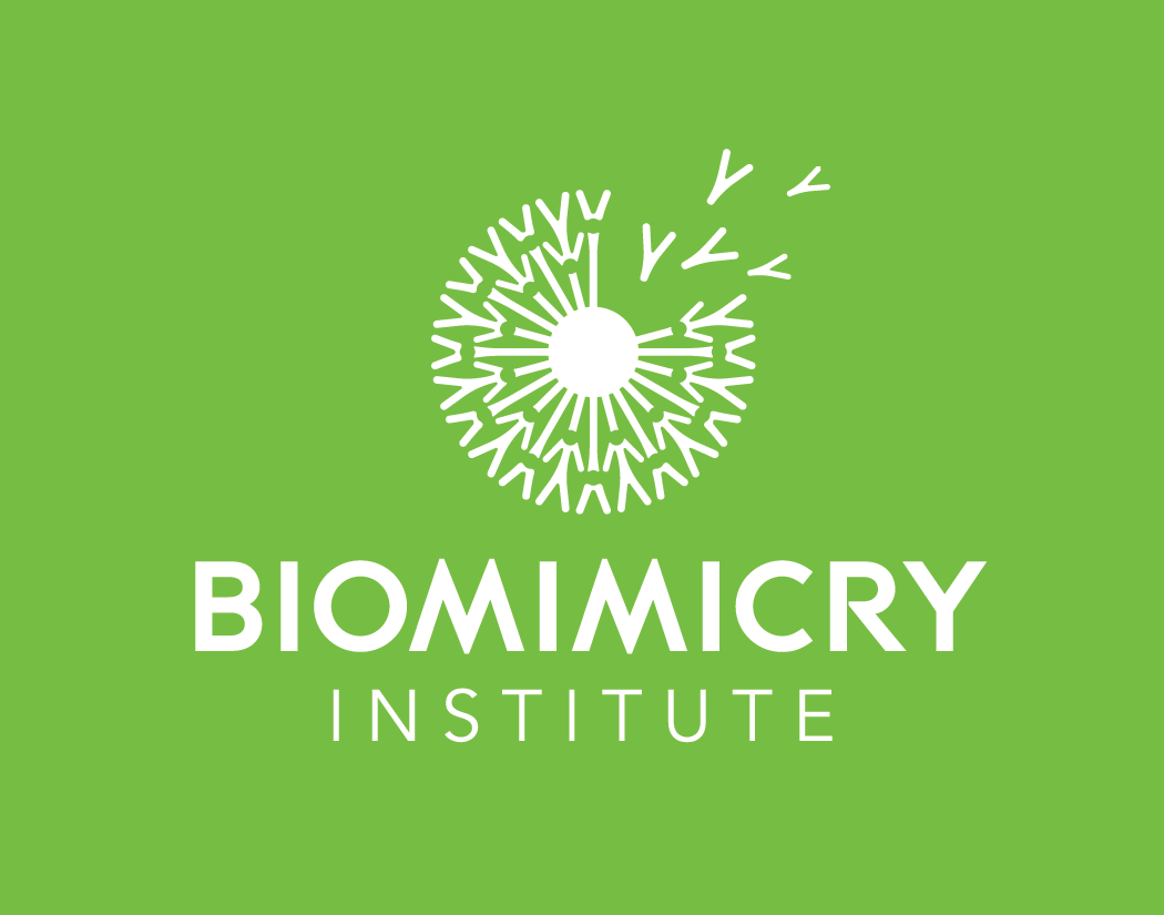 Biomimicry Institute Textile Info-sheets cover