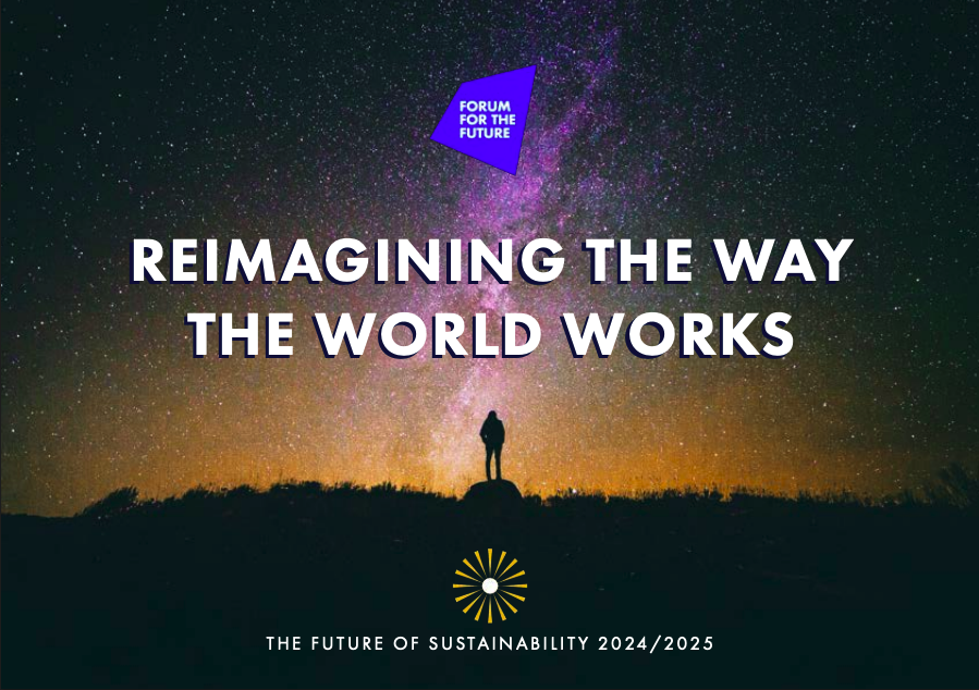 The Future of Sustainability 2024/2025: Reimagining the Way the World Works cover