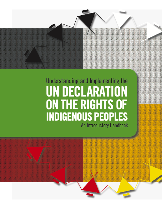 Understanding and Implementing the UN Declaration of the Rights of Indigenous Peoples: An Introductory Handbook cover