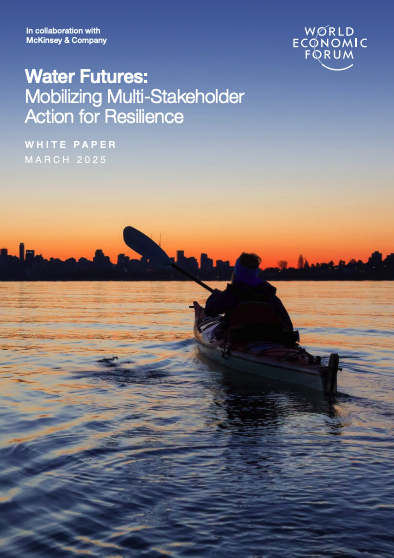 Water Futures: Mobilizing Multi-Stakeholder Action for Resilience cover