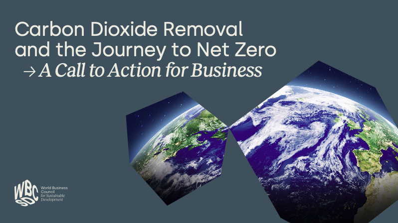 Carbon Dioxide Removal and the Journey to Net Zero – A Call to Action for Business cover