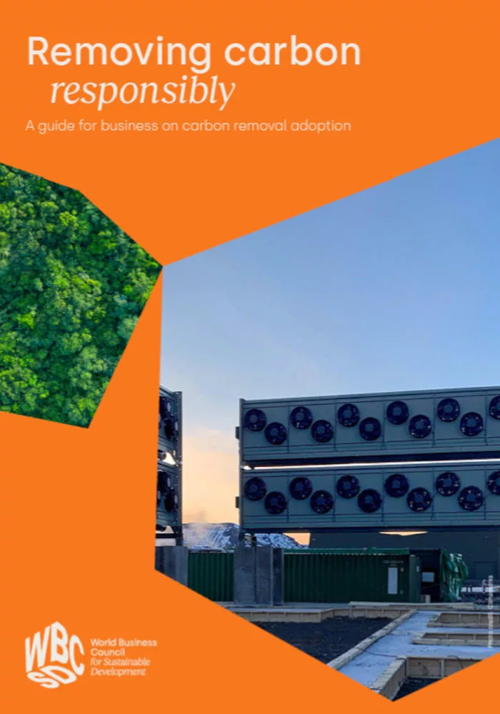 Removing carbon responsibly: A guide for business on carbon removal adoption cover