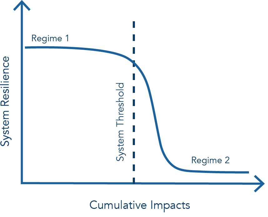 Cumulative Impacts