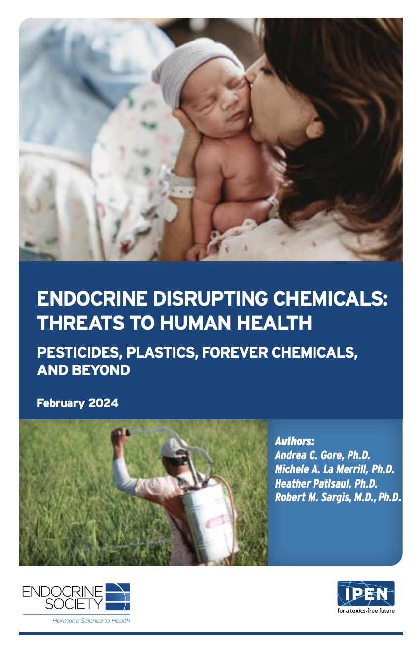 Endocrine Disrupting Chemicals: Threats to Human Health cover
