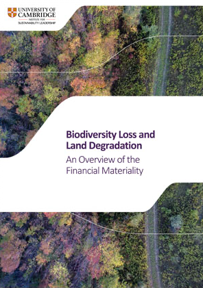Biodiversity Loss and Land Degradation: An Overview of the Financial Materiality cover