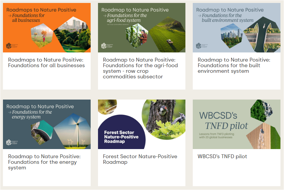 Roadmaps to Nature Positive cover