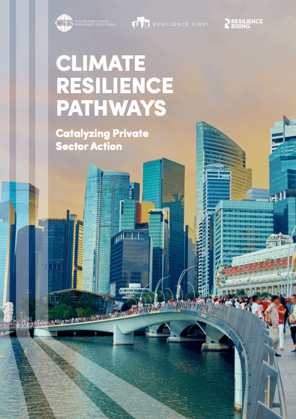 Climate Resilience Pathways: Catalyzing Private Sector Action cover