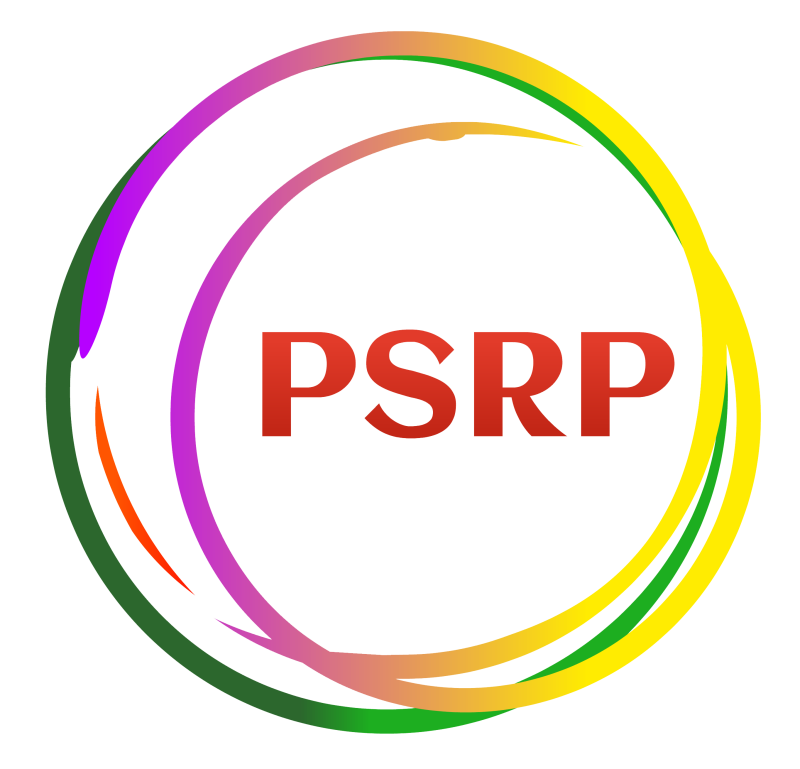 Political Settlements Research Programme (PSRP)