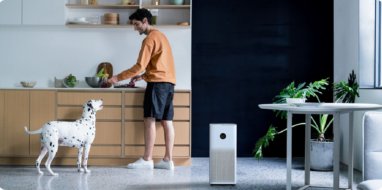 Air Purifier 4-1