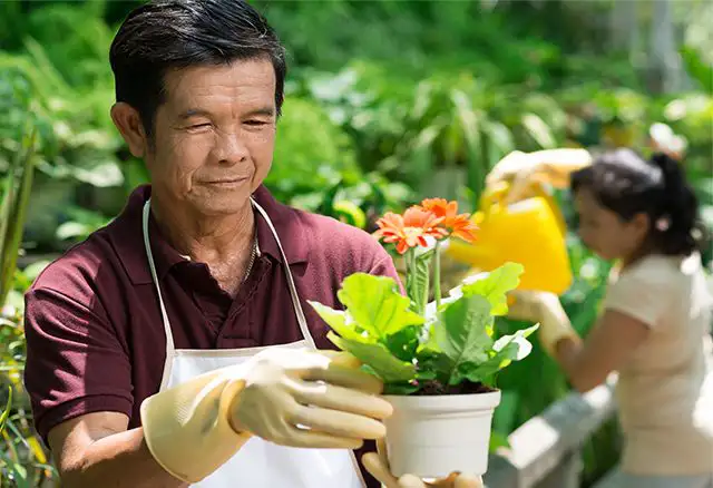 Homem regando plantas no jardín