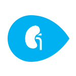 kidney-icon.png