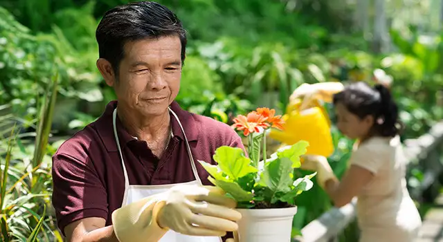 Homem regando plantas no jardim