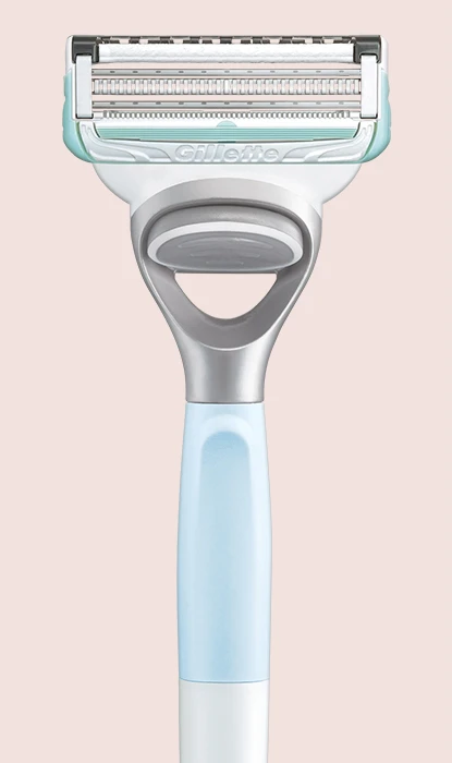 Gillette Venus Pubic Razor