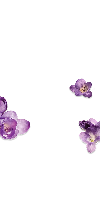 Fleurs violettes