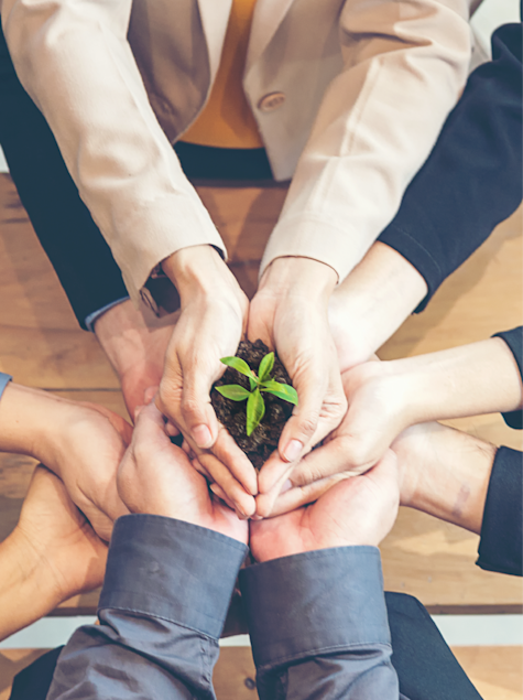 Multiple hands holding a young plant in dirt to show support to the plant.