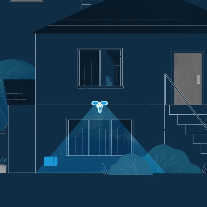 Virtual Security Guard
