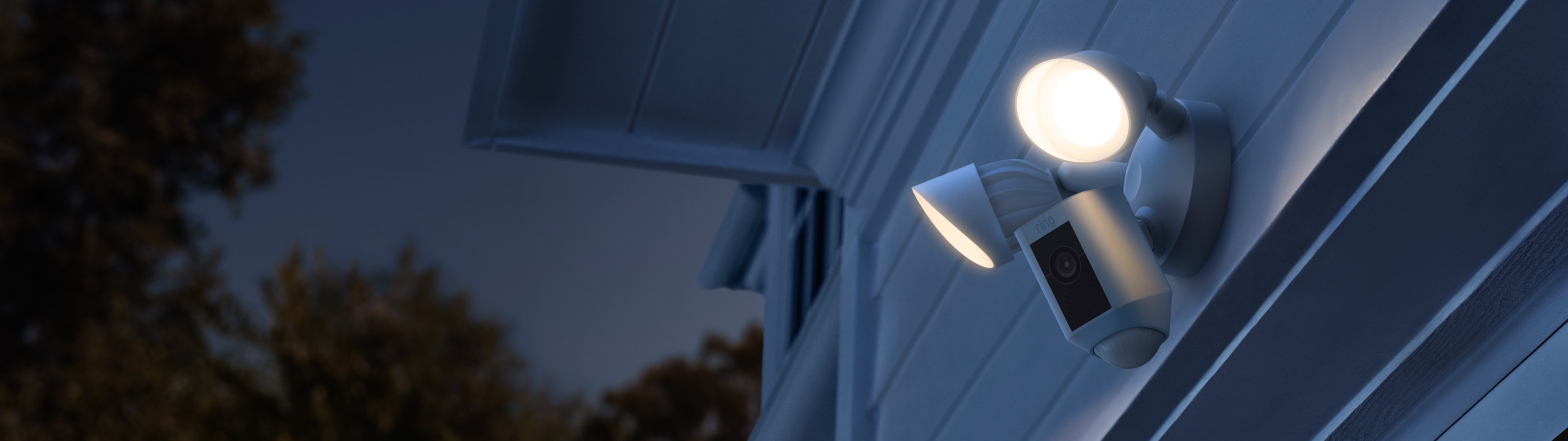 Ring Security Cameras