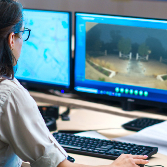 Virtual Security Guard