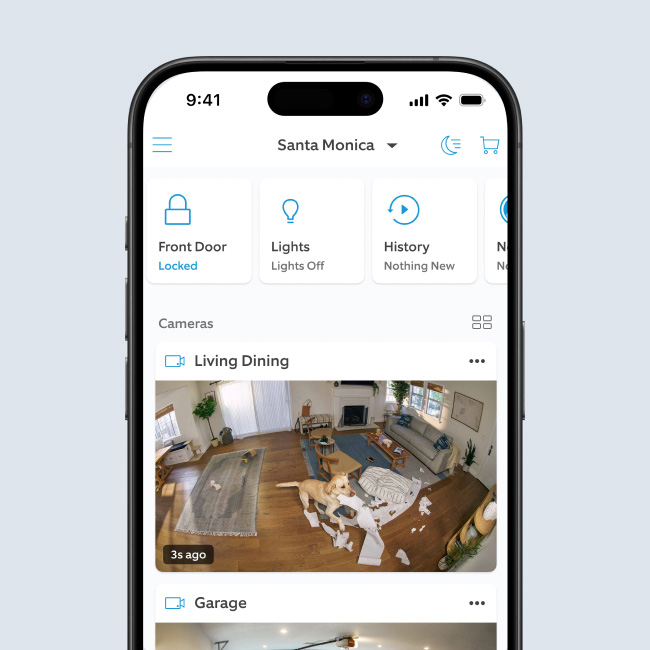 Smartphone display of Ring App dashboard, showing connected devices and live feed of a mischievous dog in living room.