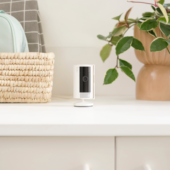 Ring Inside Home Basic Kit Indoor Cam surrounded by plants and sitting on table to observe.