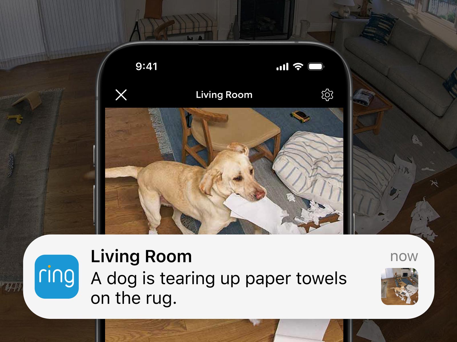Smartphone with motion alert that reads