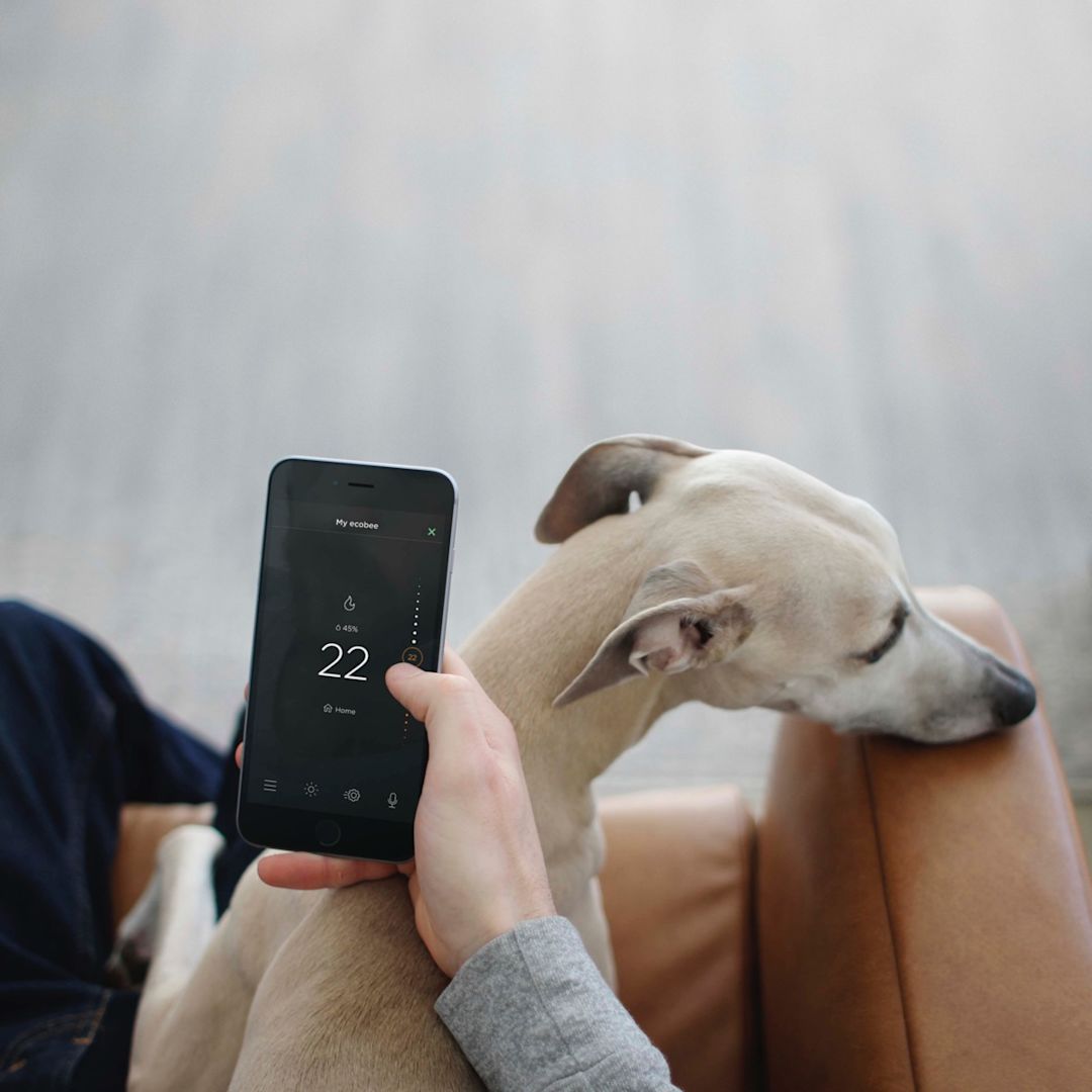 Someone checks their home's temperature from their phone.