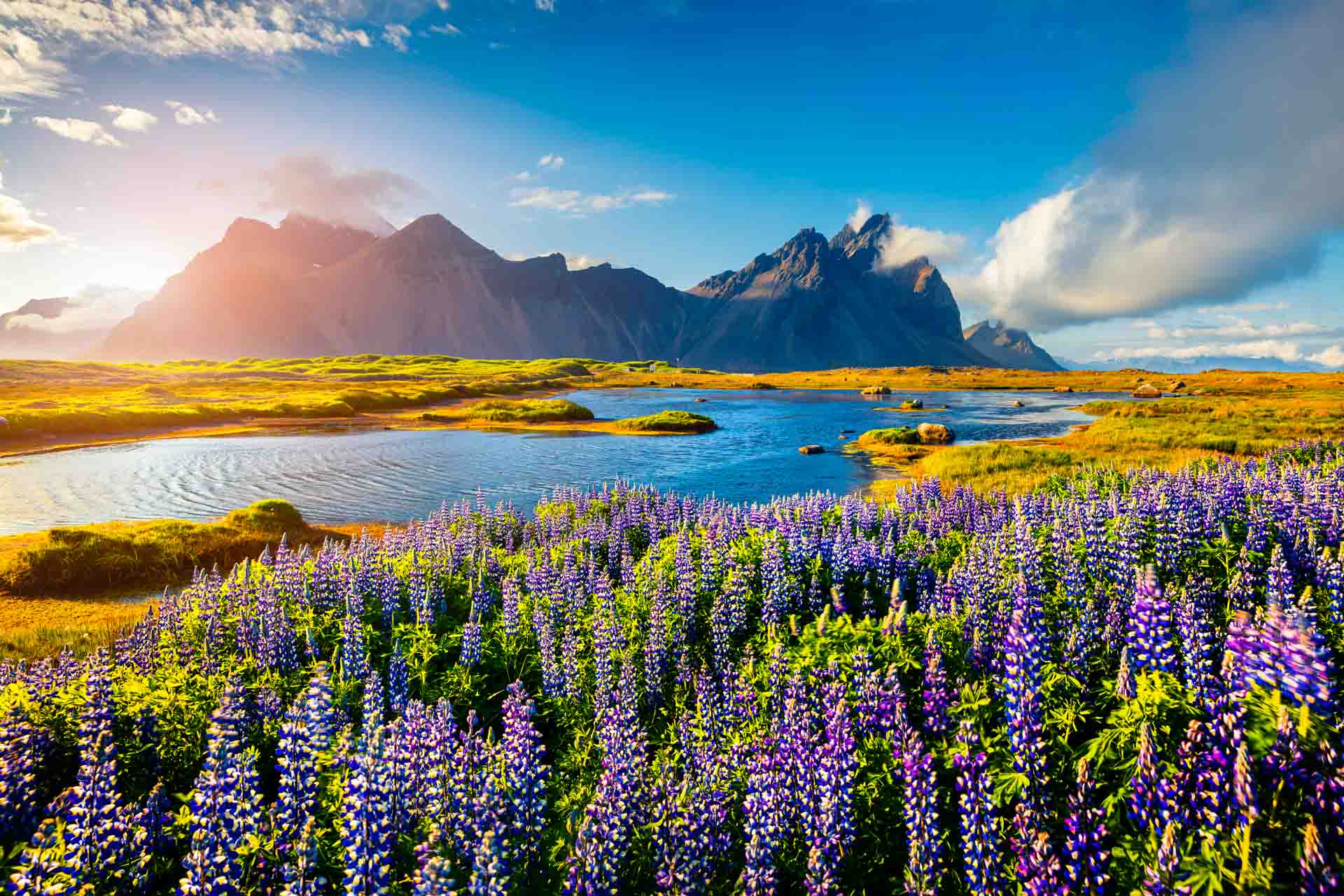 Iceland private tours header