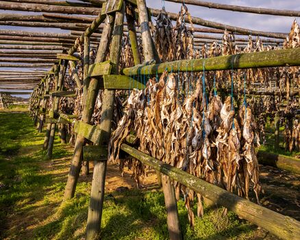 RE blogs-shutterstock 2633919077