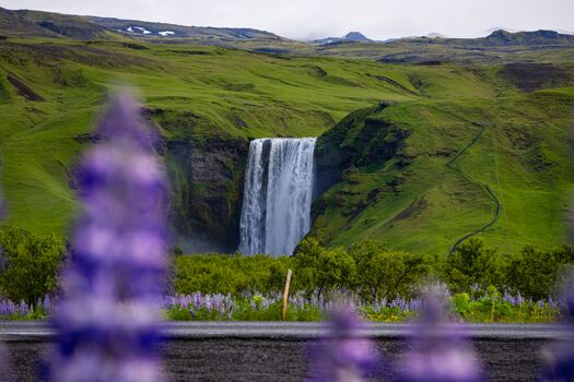 Skogafoss in the summer 2026 re blog