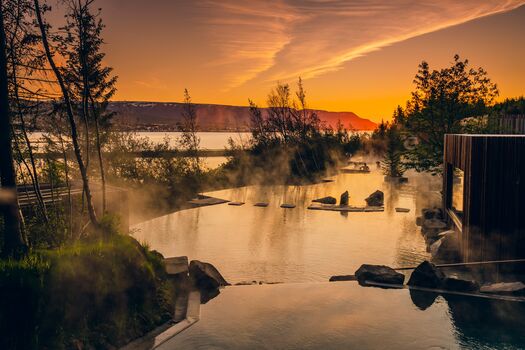 RE blogs-Forest Lagoon