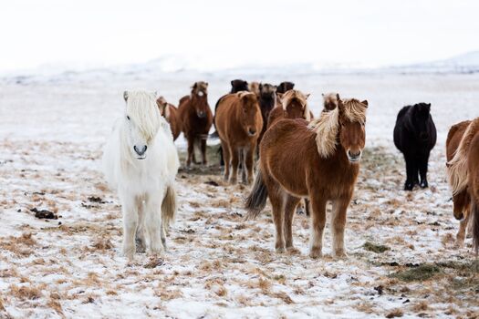 RE blogs-AdobeStock 248103541