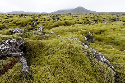 RE blogs-wpo d042226