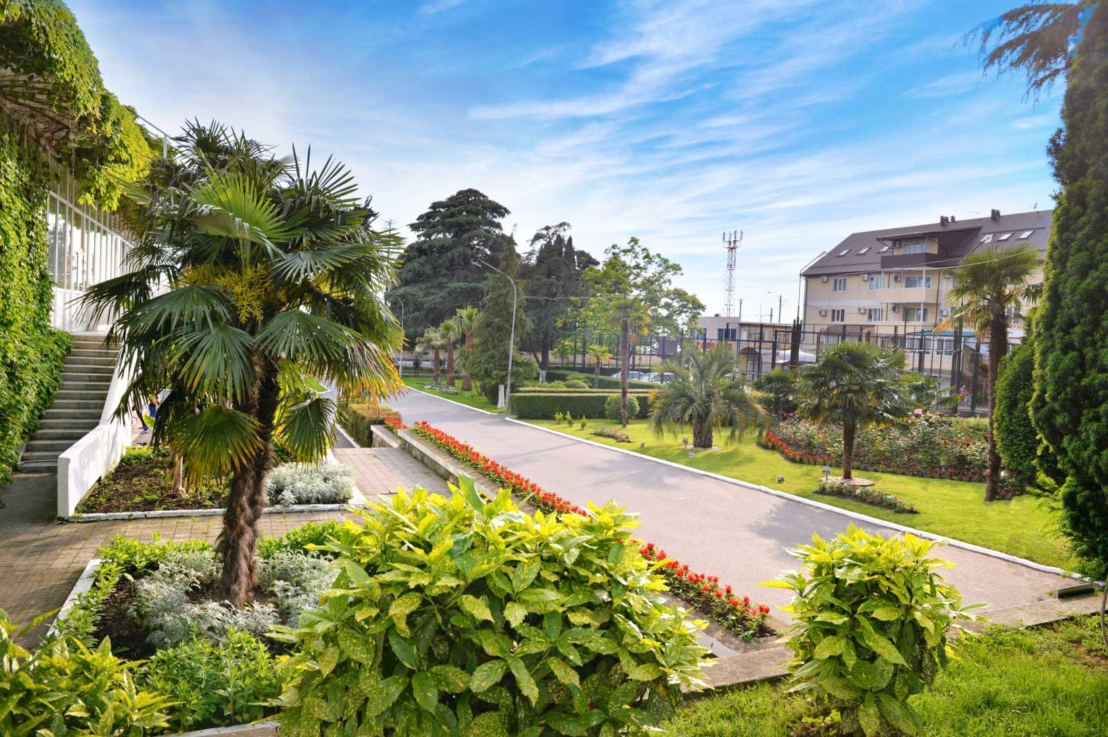 Растерия и цветы на территории санатория Растерия и цветы на территории санатория