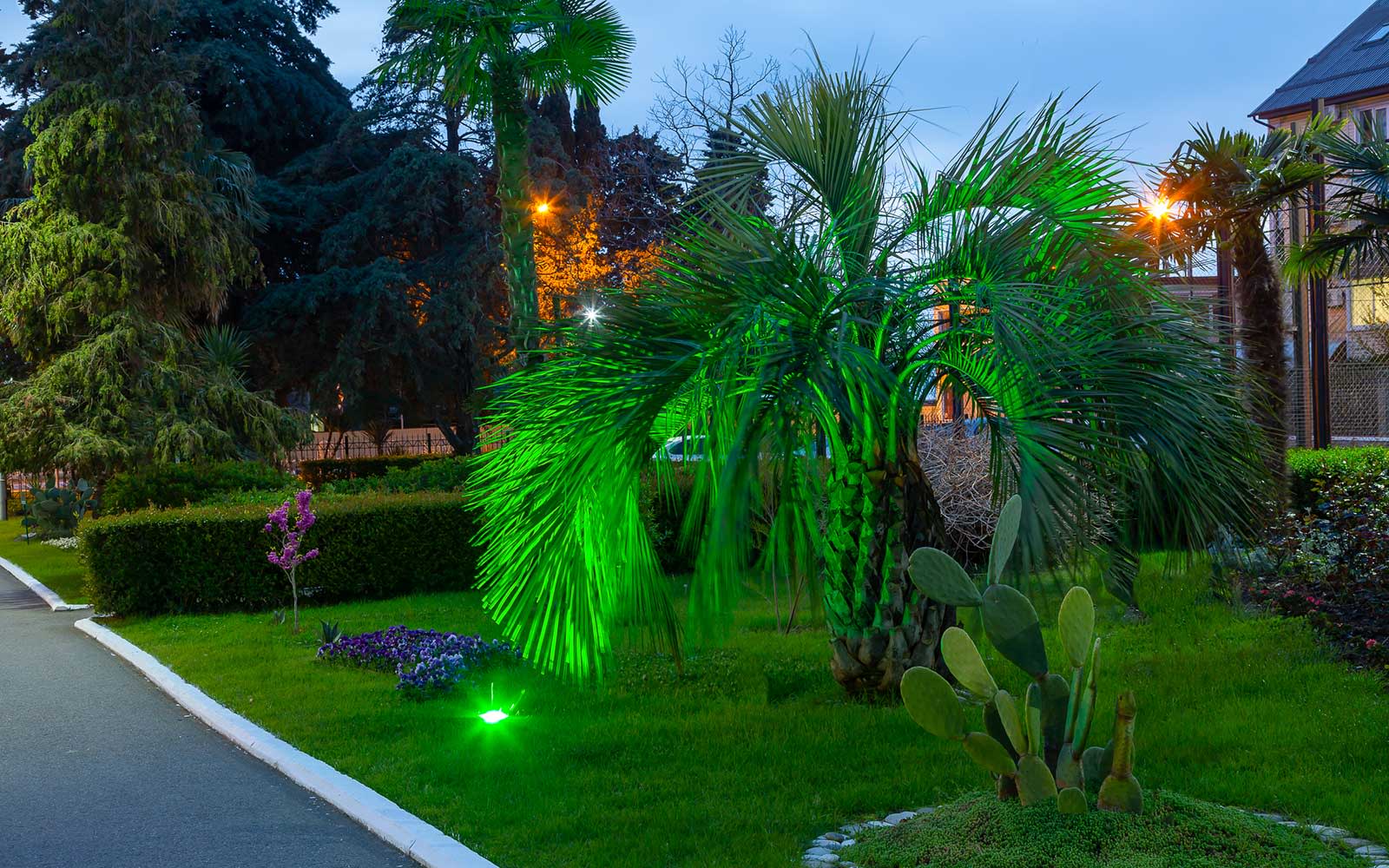 Парковая территория санатория Бирюза Парковая территория санатория Бирюза