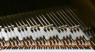 Les concertinos sont des moments d'échange et de partage avec l'artiste