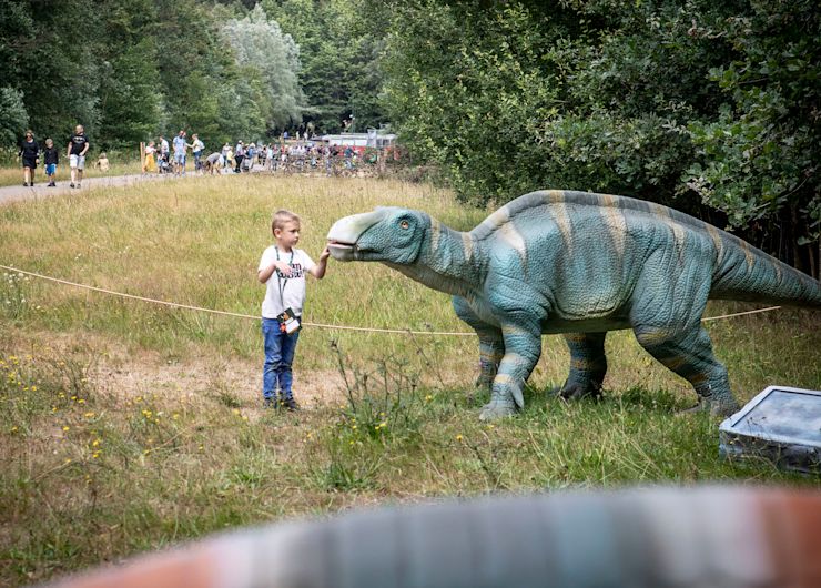 Leer meer over dino's