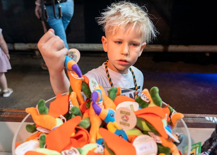 En nog veel meer dino spullen