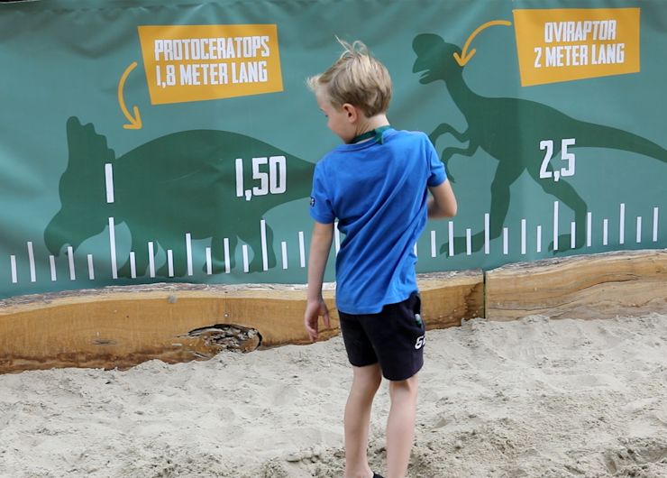 Het dino behendigheidsplein