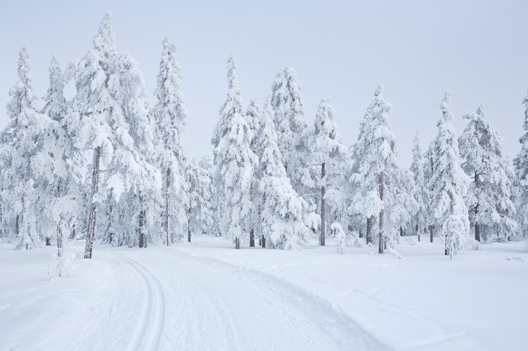 Vintereventyr i Trysil -\nFoto: Getty Images