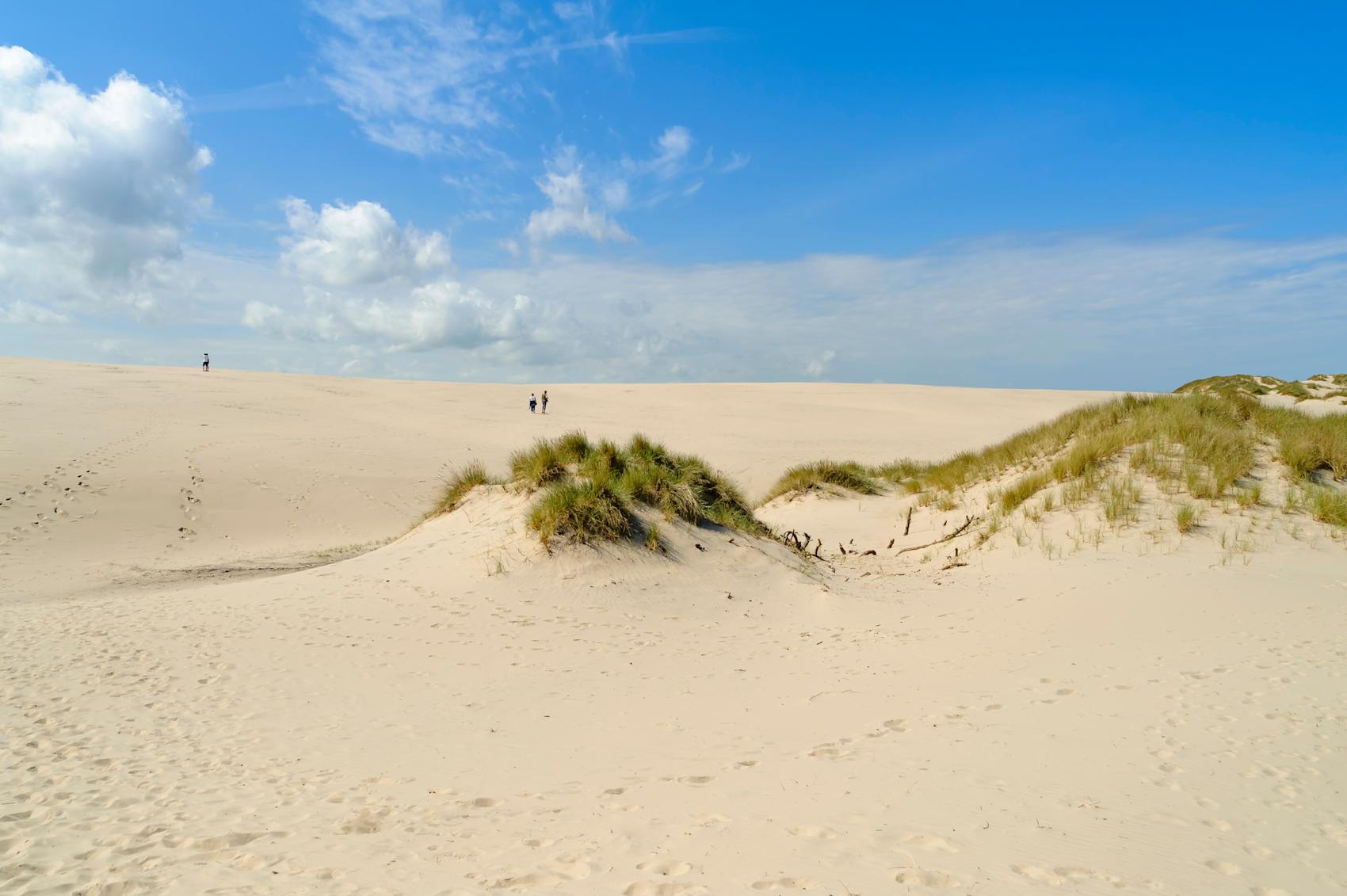 Råbjerg Mile - den største sanddyna ved Skagen i Danmark - Foto: Getty Images