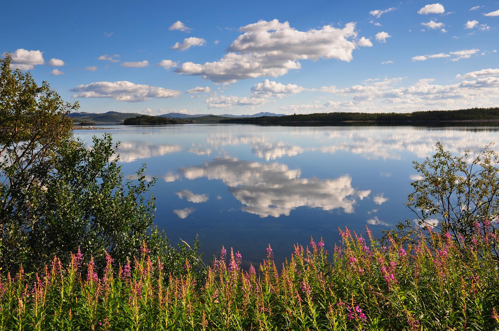 Møsvatn - inngangsport til Hardangervidda nasjonalpark - Foto: Getty Images